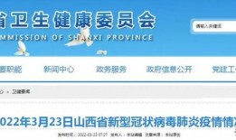 山东最新爆料新闻报道视频,揭秘重大新闻事件背后的真相